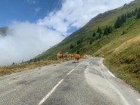 Col du Tourmalet from Luz Saint Sauveur via Voie Laurent Fignon