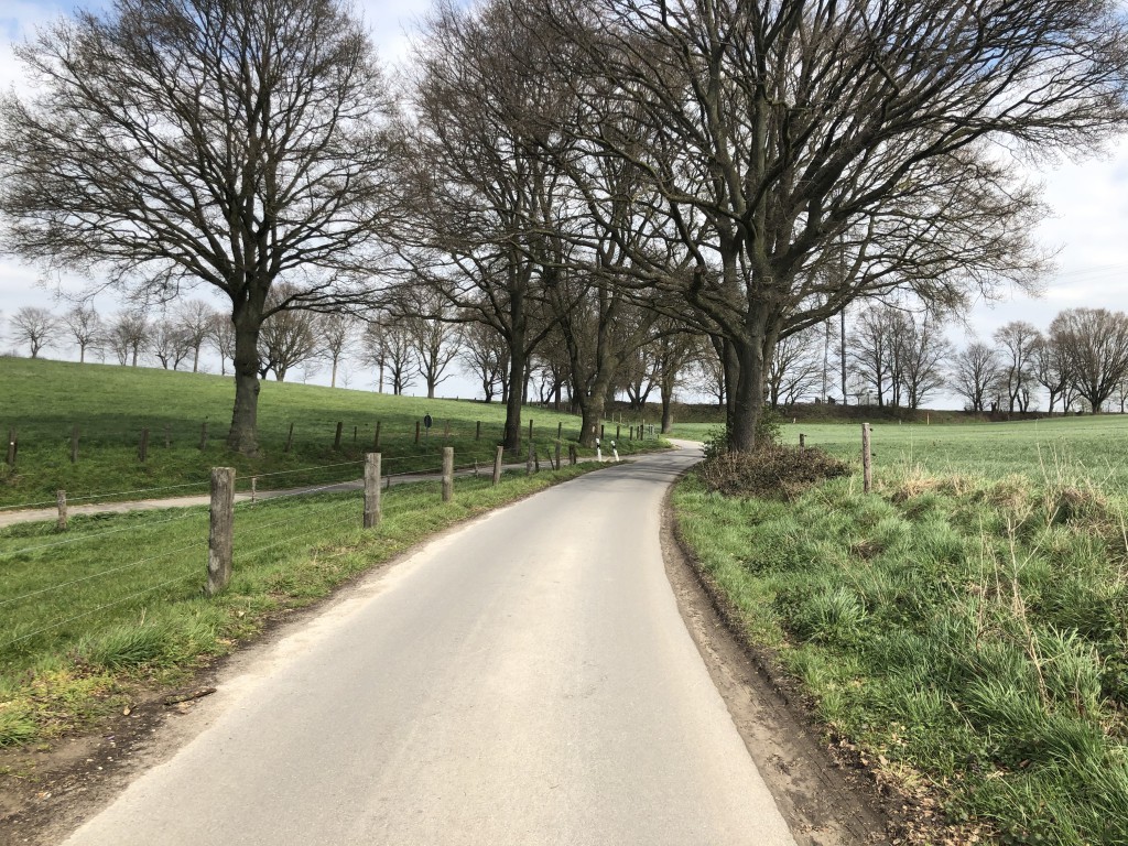 Süchtelner Höhen - Las subidas de ciclismo con las fotos con más likes