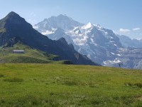 Männlichen vanuit Grindelwald