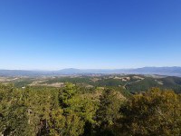 Monte Santa Maria Tiberina desde San Secondo