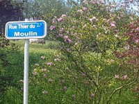 Thier du Moulin von Hosdent