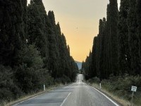 Viale dei Cipressi / Bolgheri from San Guido